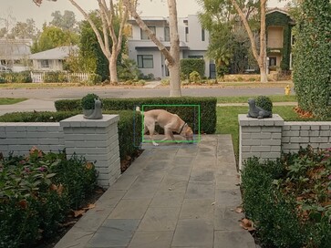 La nueva función puede utilizar la IA para rastrear y localizar mascotas en un vecindario