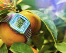 El reloj Timex 80 de 36 mm (en la imagen) con correa de expansión de acero inoxidable. (Fuente de la imagen: Timex)