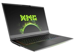 XMG Neo 17 (Tongfang GM7ZG7S): Dispositivo de prueba proporcionado por Schenker Technologies