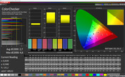 Precisión de color CalMan (perfil: predeterminado, espacio de color objetivo: sRGB)