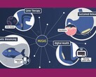 Una infografía que muestra algunas aplicaciones potenciales de MUSAS (Fuente de la imagen: Giovanni Traverso; captura de pantalla editada)