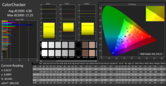 CalMAN - ColorChecker (calibrado)