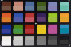 ColorChecker; color de referencia en la parte inferior de cada cuadrado.
