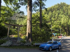 Una captura de pantalla que muestra el renderizado de Forza Horizon 6 de un monumento japonés
