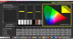 CalMAN ColorChecker (espacio de color de destino DCI-P3)