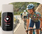 La función de tendencias inusuales de Fitbit utiliza datos como la frecuencia cardiaca y la frecuencia respiratoria. (Fuente de la imagen: Fitbit)