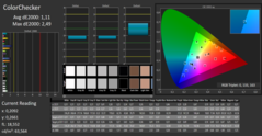 CalMAN - ColorChecker (después de la calibración)