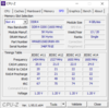 CPU-Z: SPD Ryzen 5 5800H (17 pulgadas)