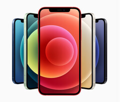 Se ha descubierto que el iPhone 12 emite más radiación de la que debería cuando se coloca en un bolsillo. (Fuente de la imagen: Apple)