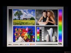 Amplios ángulos de visión IPS