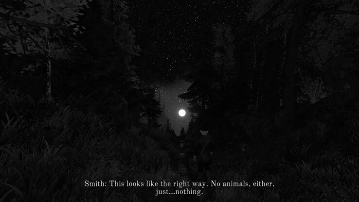 El primer paseo por el bosque fue una experiencia fascinante. (Fuente de la imagen: Anubhav Sharma - Notebookcheck)