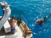 Se espera que la pesca en GTA 6 sea tan detallada como en Red Dead Redemption 2, pero los peces capturados deberán ser liberados.