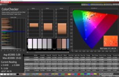 CalMAN: ColorChecker - sRGB