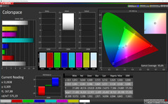 CalMAN - espacio de color "Vivid" (Standard, sRGB)