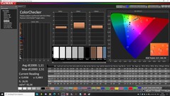 CalMAN: ColorChecker (calibrado)