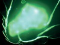 Los investigadores lograron transmitir de forma inalámbrica datos útiles modulando un campo de neutrones emitido por el isótopo Californio-252 (Fuente de la imagen: Nature.com)
