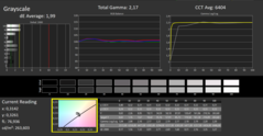 Calman ColorChecker: DisplayP3 modo de visualización - escala de grises