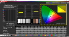 CalMAN ColorChecker (perfil: sRGB, espacio de color de destino sRGB)