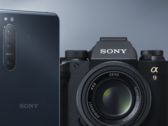 El Xperia 5 II es uno de los cinco smartphones Xperia que han recibido Android 11 hasta ahora. (Fuente de la imagen: Sony)