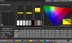 ColorChecker (Perfil: Profesional, Espacio de color de destino: sRGB)