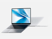 Todos los modelos del MagicBook 14 2022 están disponibles en los colores Glacial Silver y Starry Sky Gray. (Fuente de la imagen: Honor)