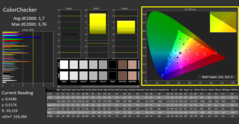 CalMAN - Color Checker (calibrated)