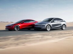 Tesla Model Y y Model 3