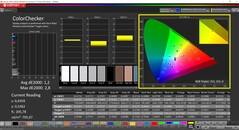 CalMAN ColorChecker (perfil: Pantalla P3, espacio de color de destino: P3)