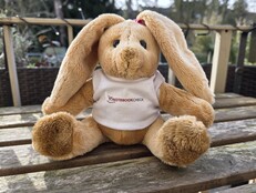 Samsung Galaxy S25 Ultra: Foto de muestra