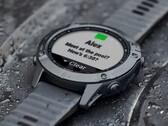 Garmin ha lanzado la versión beta 27.76 para el smartwatch Fenix 6. (Fuente de la imagen: Garmin)
