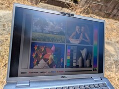 Al aire libre bajo la luz del sol
