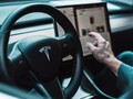 Tesla ha lanzado la actualización 2021.44.25, que incluye mejoras en el sistema de infoentretenimiento. (Fuente de la imagen: David von Diemar en Unsplash)