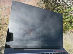 Al aire libre bajo la luz del sol