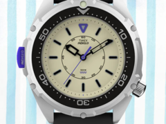 El Timex Intrepid x Dimepiece Edition (en la imagen). (Fuente de la imagen: Timex)