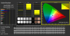 CalMAN: ColorChecker (calibrado)