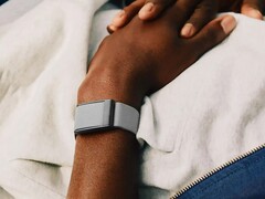 Al parecer, el rastreador de Whoop tiene problemas importantes (Fuente de la imagen: Whoop)