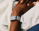 Al parecer, el rastreador de Whoop tiene problemas importantes (Fuente de la imagen: Whoop)