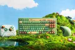 Los nuevos productos de 8BitDo para Xbox presentan un diseño inspirado en la naturaleza.