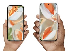 Pixel 9 y Pixel 9 Pro XL se lanzaron a 799 y 1099 dólares respectivamente. (Fuente de la imagen: Google)