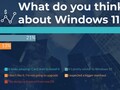 Los usuarios revelan su opinión sobre Windows 11. (Fuente: WindowsReport)