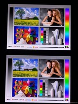 Amplios ángulos de visión OLED para ambas pantallas táctiles