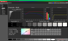 Escala de grises antes de la calibración (P3)