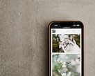 Un smartphone sobre una superficie gris con una galería de fotos de gatos y flores en la pantalla