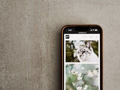 Un smartphone sobre una superficie gris con una galería de fotos de gatos y flores en la pantalla