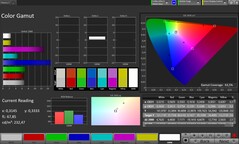 Espacio de color CalMAN sRGB