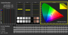 Calman ColorChecker calibrado