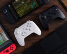 8BitDo aconseja a los usuarios que actualicen el firmware de su mando compatible antes de conectarlo a la Nintendo Switch 2. (Fuente de la imagen: 8BitDo)