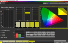 CalMAN saturación calibrada