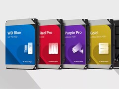 Opciones de almacenamiento en disco duro de Western Digital. (Fuente de la imagen: Western Digital)