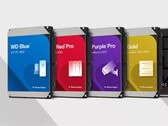 Opciones de almacenamiento en disco duro de Western Digital. (Fuente de la imagen: Western Digital)